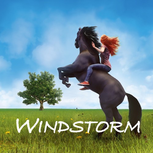 Windstorm switch box art