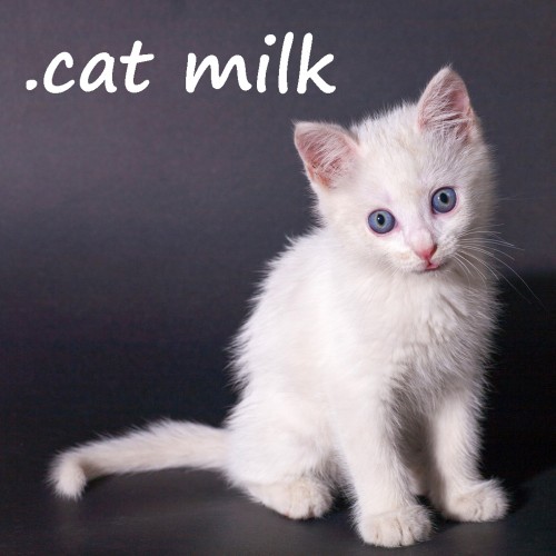 .cat Milk