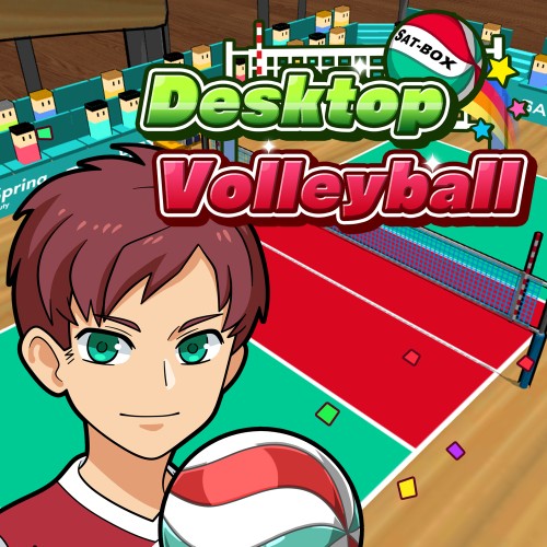 Desktop Volleyball switch box art