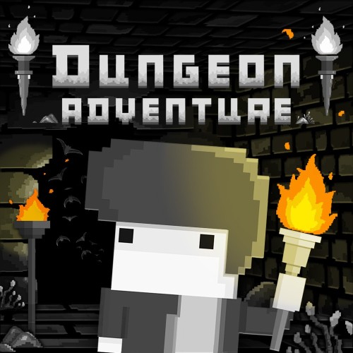 Dungeon Adventure switch box art