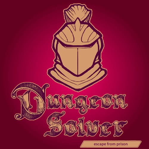 Dungeon Solver switch box art