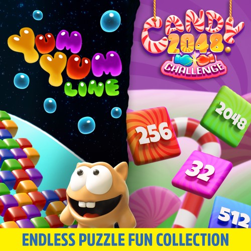 Endless Puzzle Fun Collection switch box art