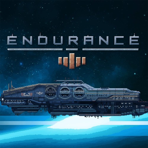 Endurance - space action switch box art