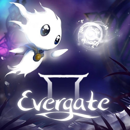 Evergate switch box art