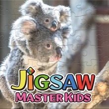 JIGSAW MASTER KIDS