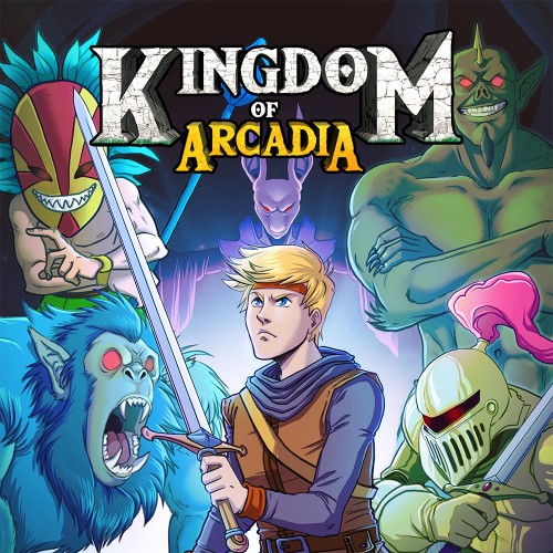 Kingdom of Arcadia switch box art