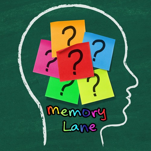 Memory Lane switch box art