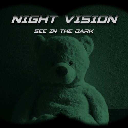 Night Vision switch box art