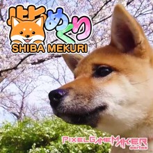Pixel Game Maker Series Shiba Mekuri