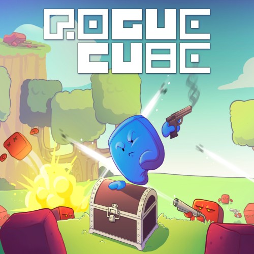 RogueCube switch box art