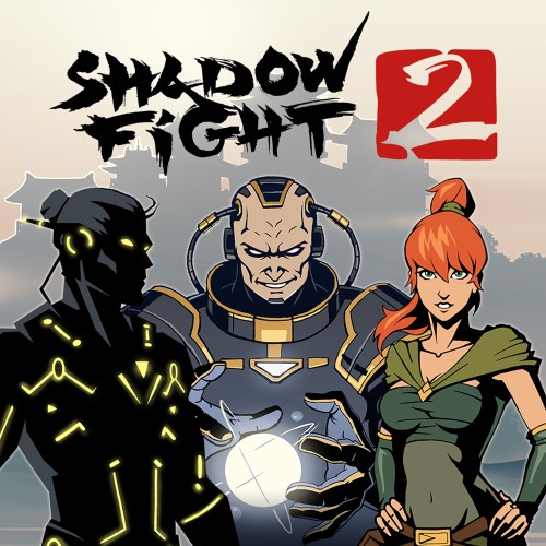 Shadow Fight 2 switch box art