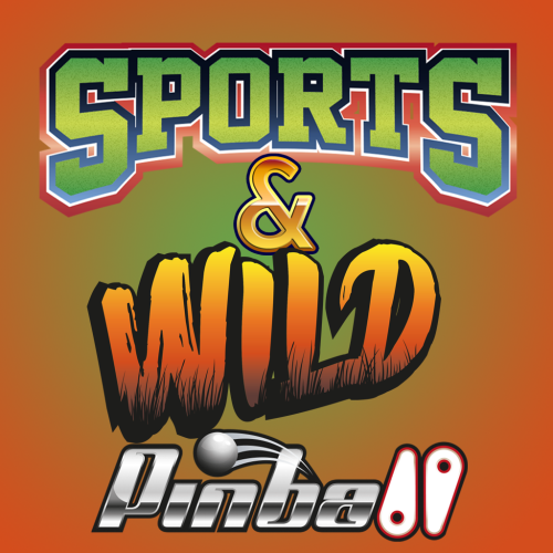 Sports & Wild Pinball switch box art