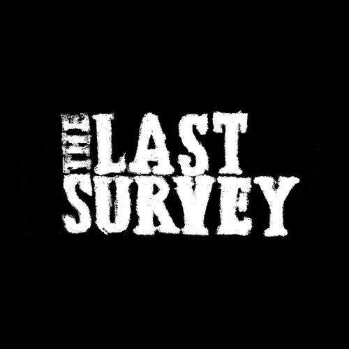 The Last Survey switch box art