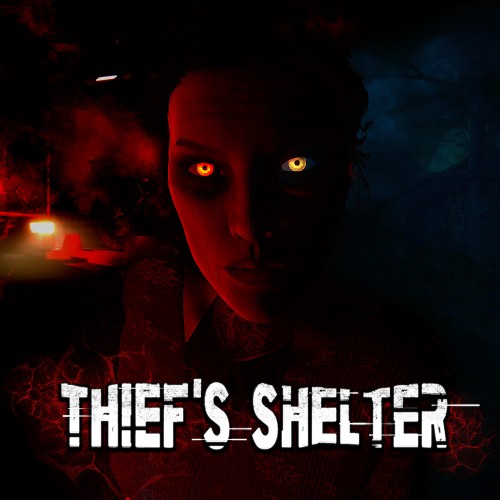 Thief's Shelter switch box art