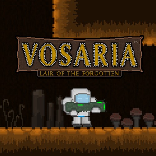 Vosaria: Lair of the Forgotten switch box art