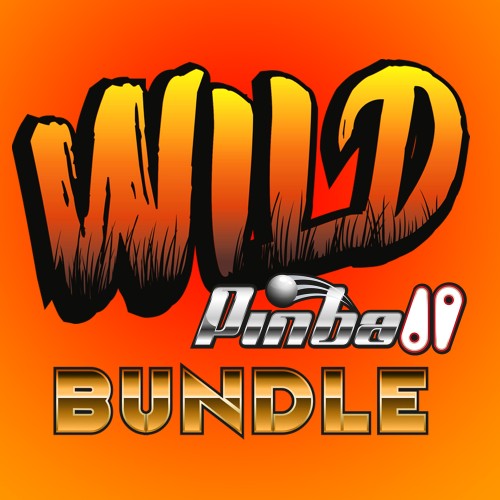 Wild Pinball Bundle switch box art