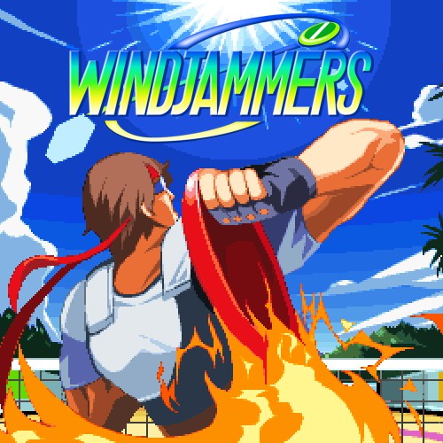 Windjammers switch box art